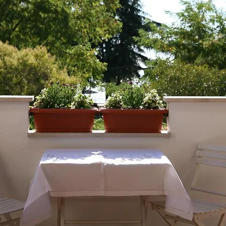 Apartment Ema Poreč Zewnętrze zdjęcie